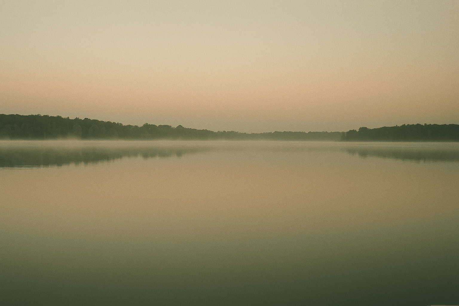 Reflective conversation